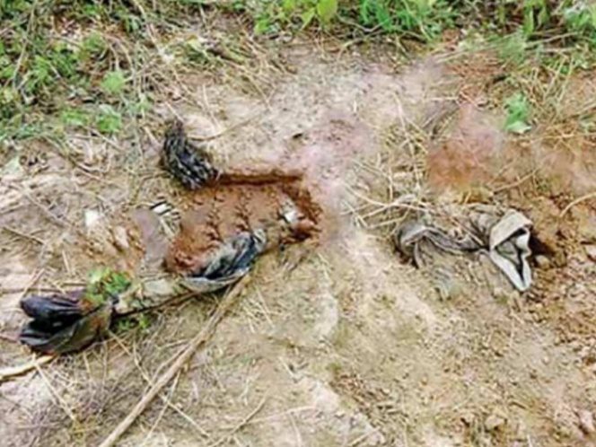 Encuentran 19 cuerpos en fosa clandestina de Jalisco