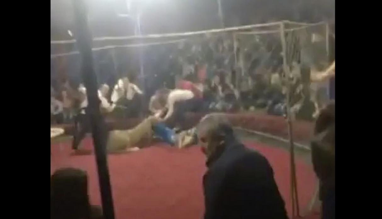 León ataca a una niña durante una función de circo