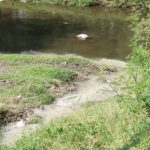 Nueva contaminación del río Cuautla con aguas negras