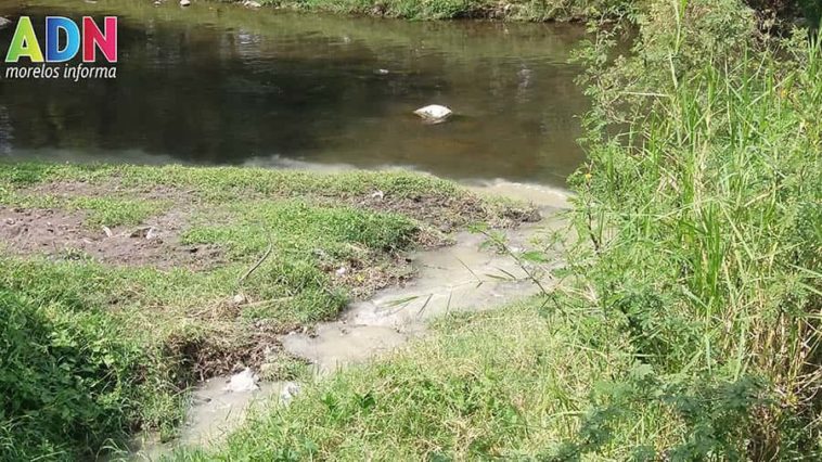 Nueva contaminación del río Cuautla con aguas negras