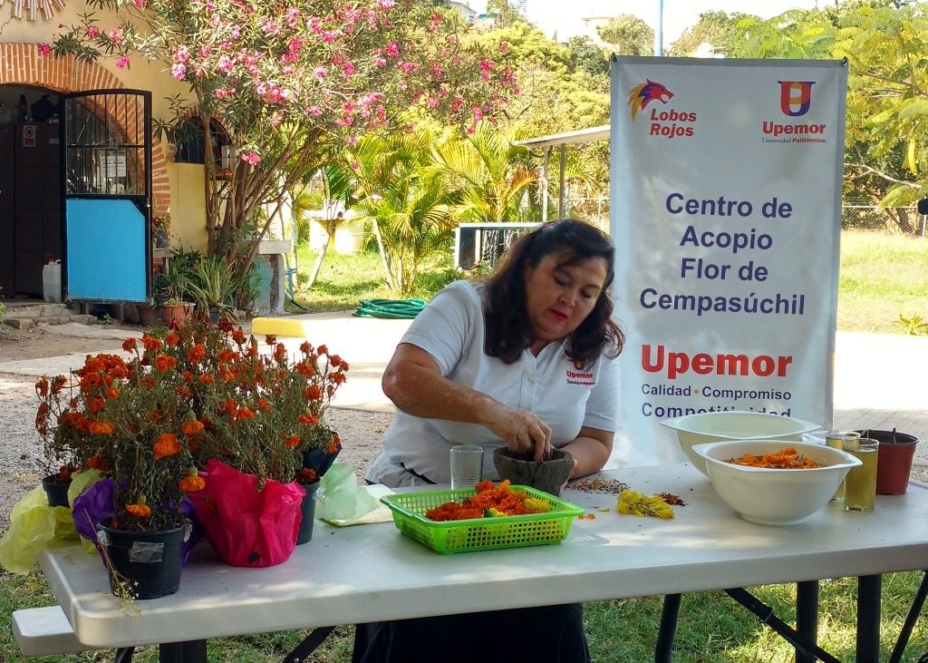 Deposita la Flor de Cempasúchil en la UPEMOR