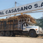 Productores de caña