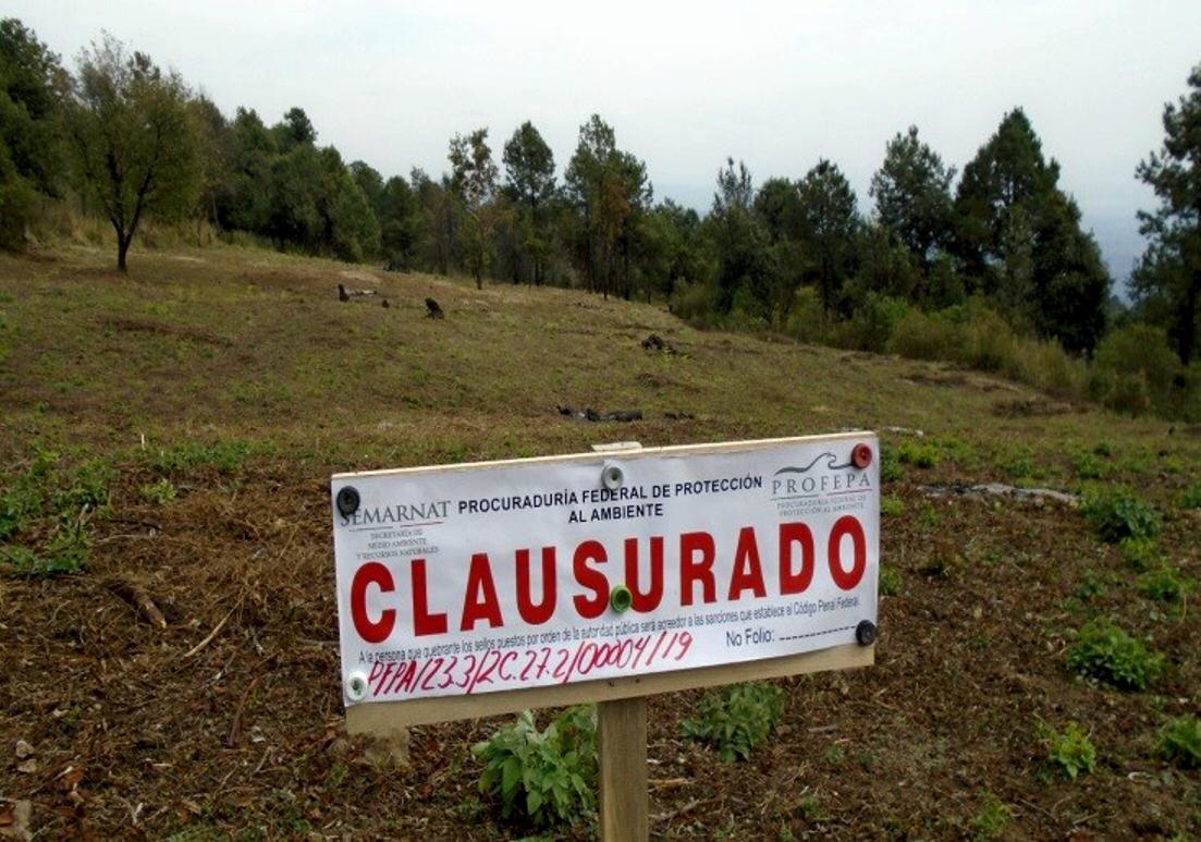 Detecta Profepa uso ilícito de predios protegidos en Tlalnepantla
