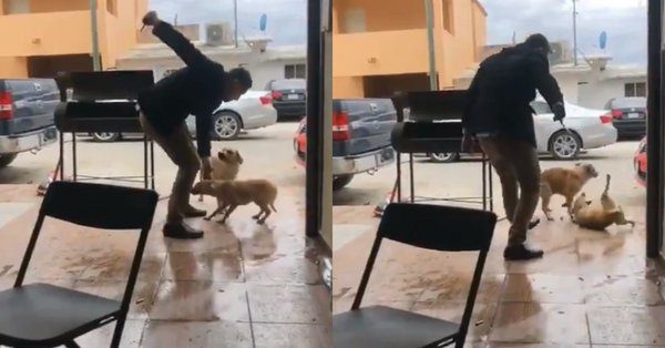 #Video Investigan a sujeto que apuñaló a perro en Piedras Negras