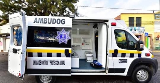 Crean “Ambudog” la primera ambulancia para perros