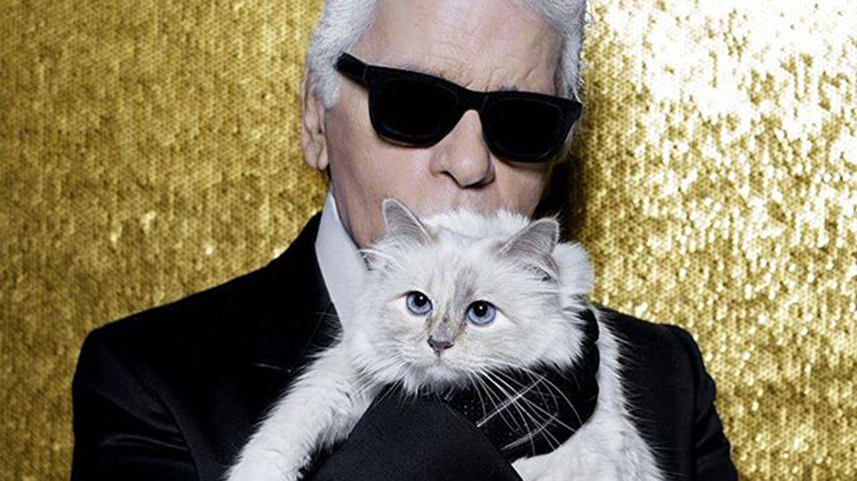 Karl Lagerfeld hereda fortuna a su gata Choupette