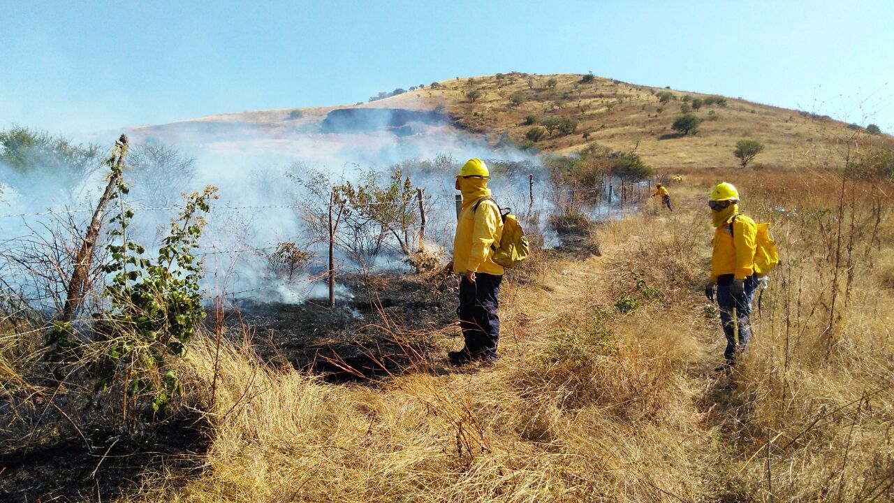 Evita incendios esta temporada de calor