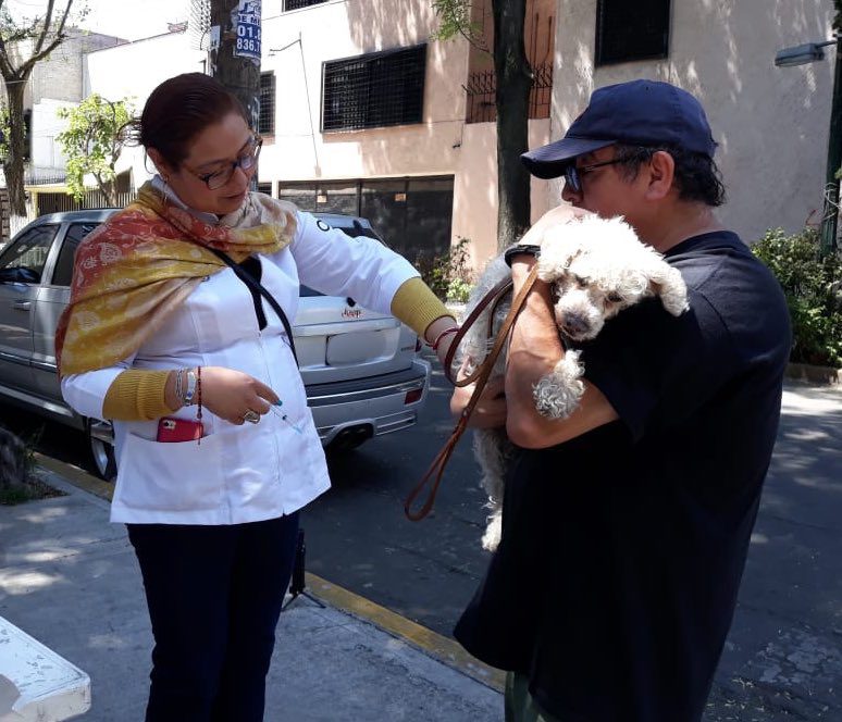 Inicia la Semana Nacional de Vacunación Antirrábica Canina y Felina 2019