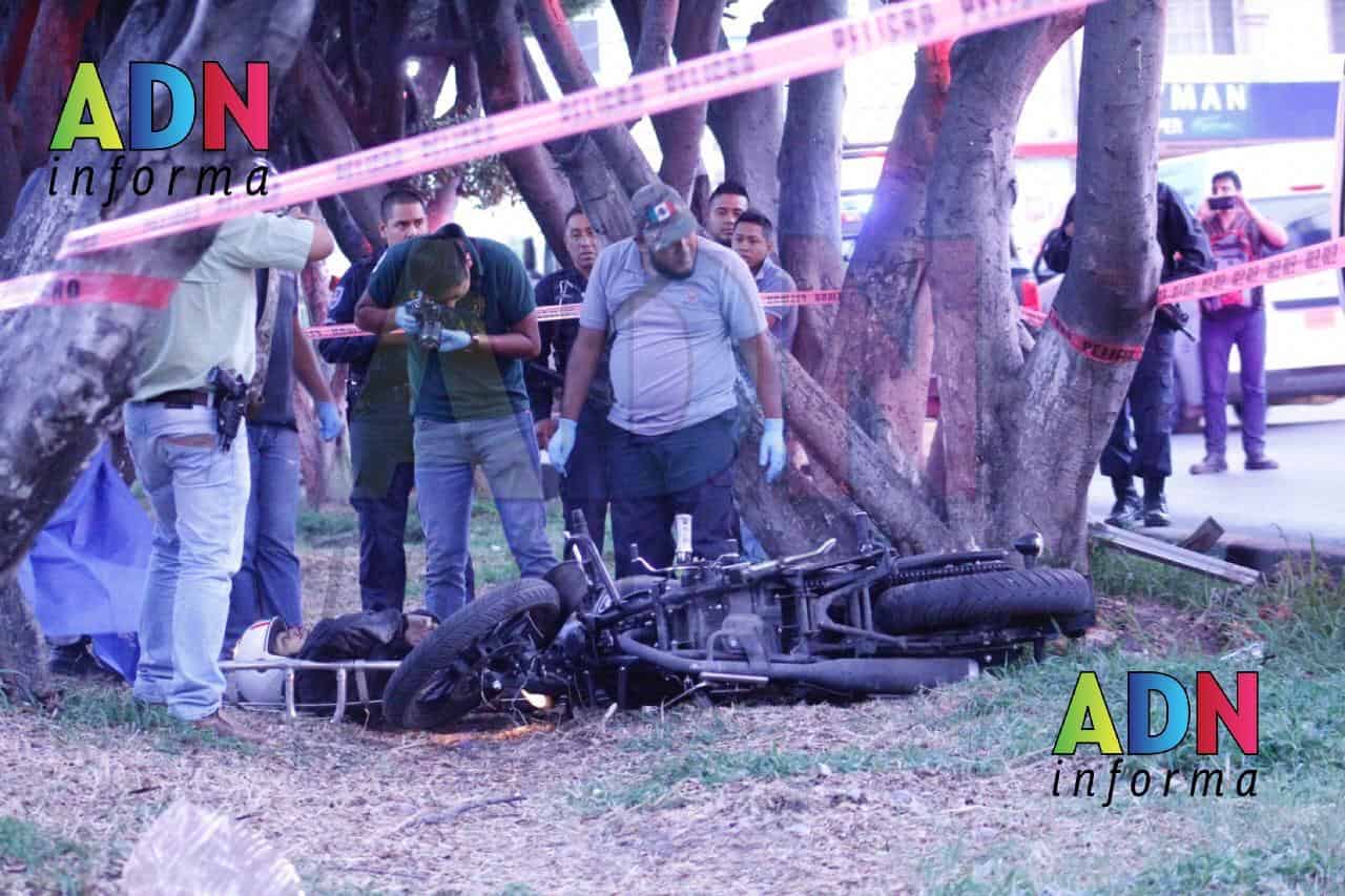 Motociclista se estampó en árbol de Bulevar Cuauhnáhuac