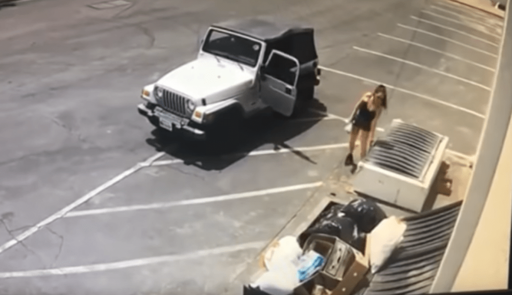 Mujer tira a la basura una bolsa llena de cachorros vivos