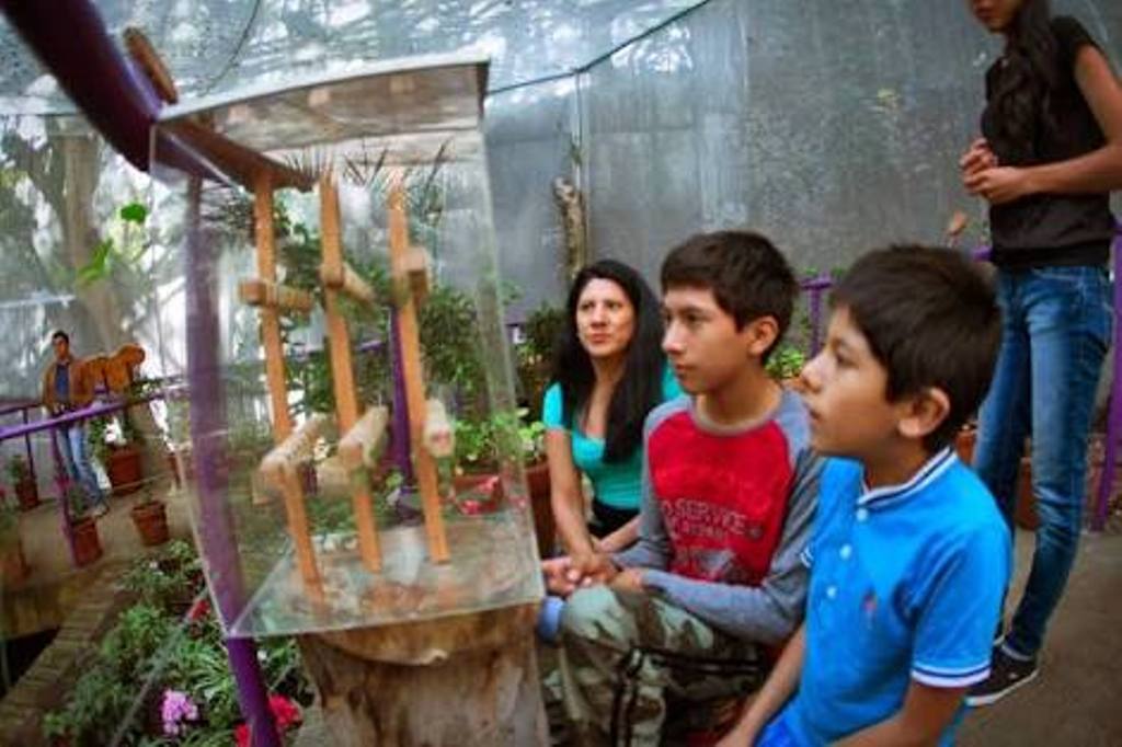 ¿Qué hacer con los niños en las vacaciones para que NO se aburran?