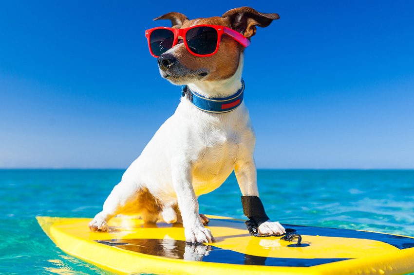 Hoy inician las vacaciones de Semana Santa