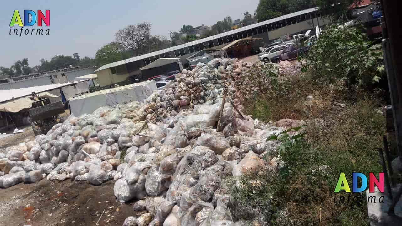 Denuncian contaminación de Fábrica de Máscaras en Jiutepec