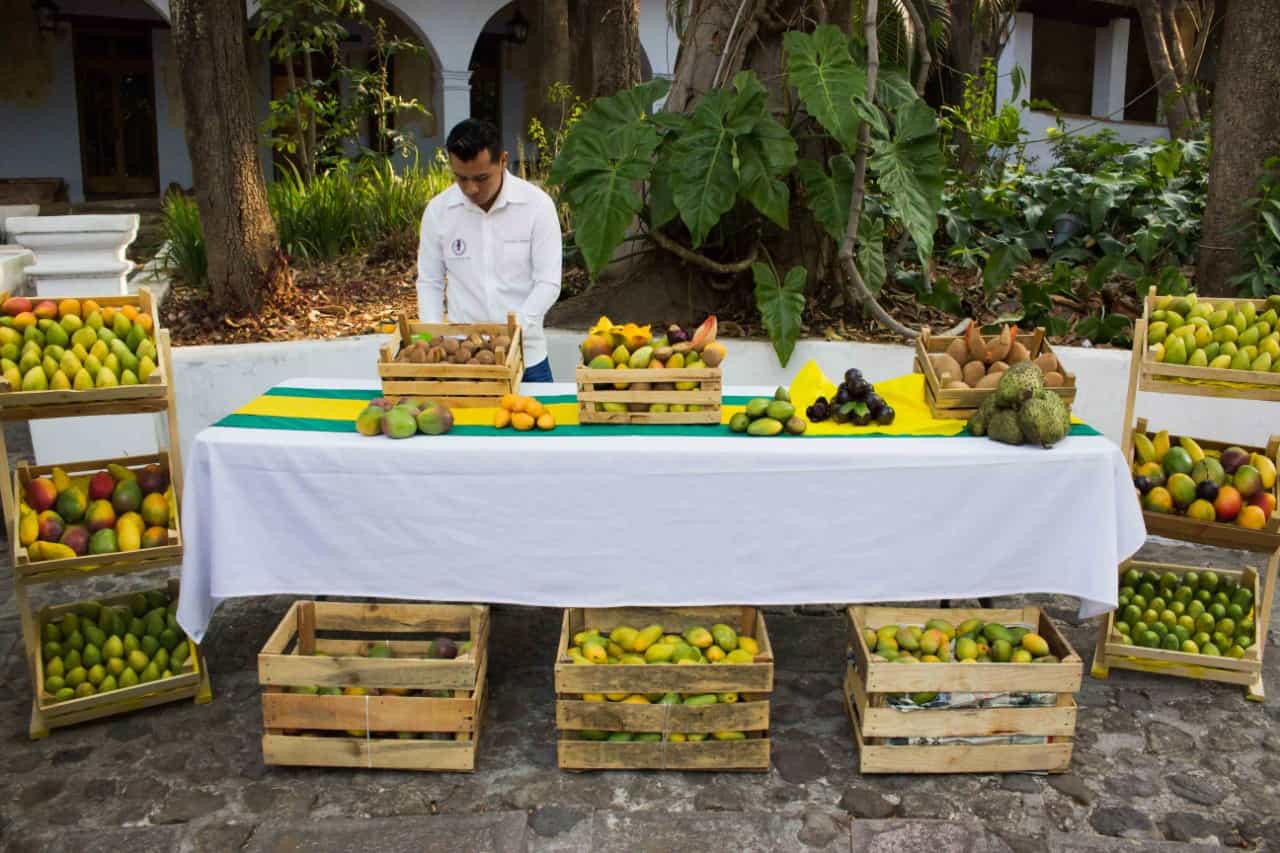Invitan a la Feria del Mango en Coatlán del Río