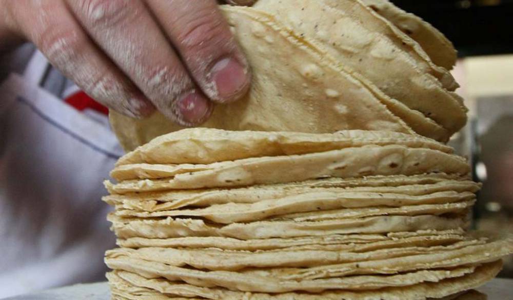 Prevén aumentar 2 pesos al kilo de tortillas en Morelos