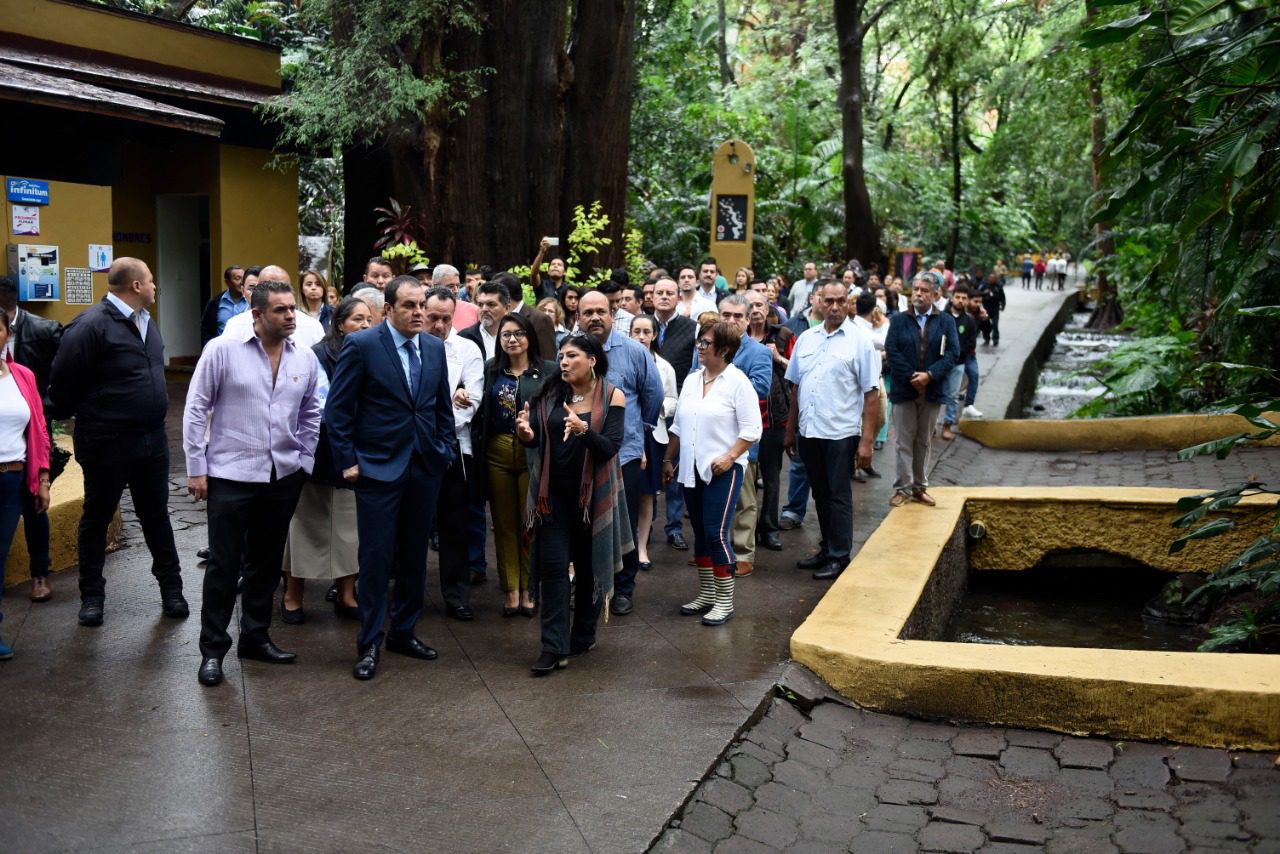 Cuautémoc Blanco se manifiesta a favor de leyes a favor del medio ambiente
