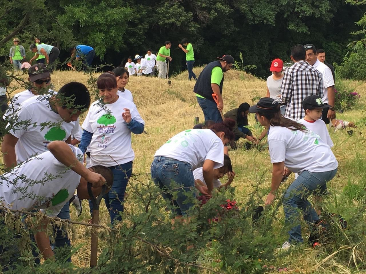Plantan 7 mil árboles en Huitzilac y Jiutepec