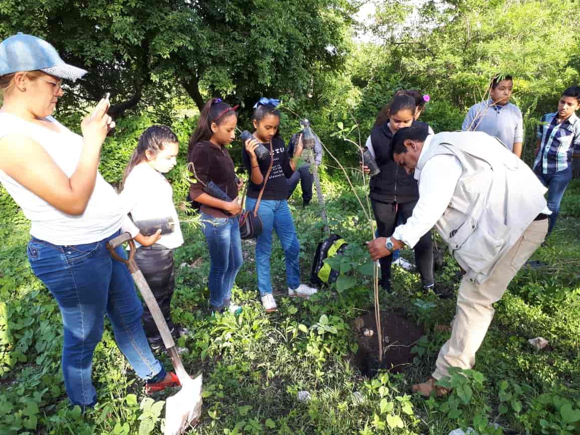 Ponen meta de plantar mil árboles en Cuautla