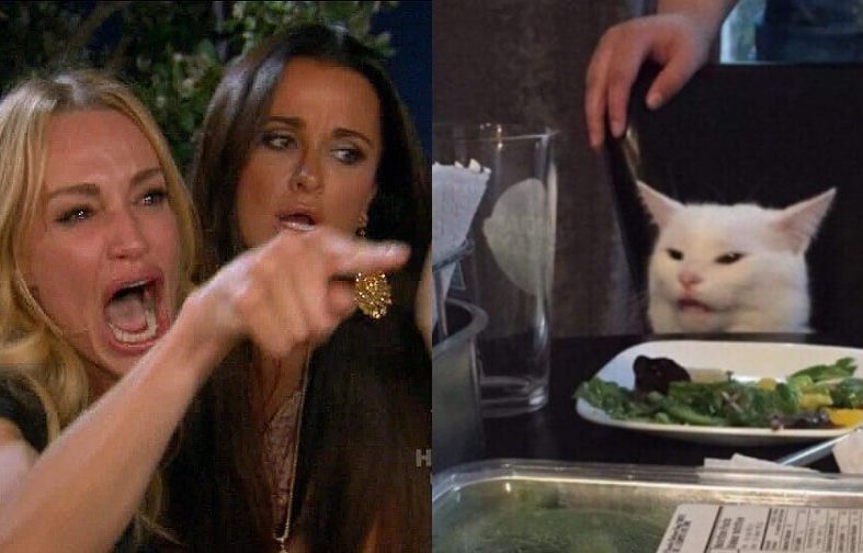 ¿De dónde salió el meme de la mujer reclamando a un gato?