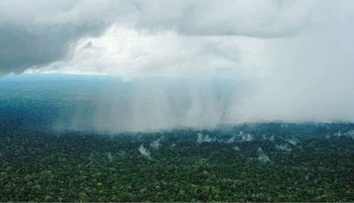 Se registran las primeras lluvias en el Amazonas