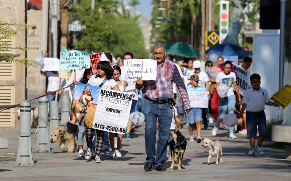 Marchan en contra del abandono de perritos