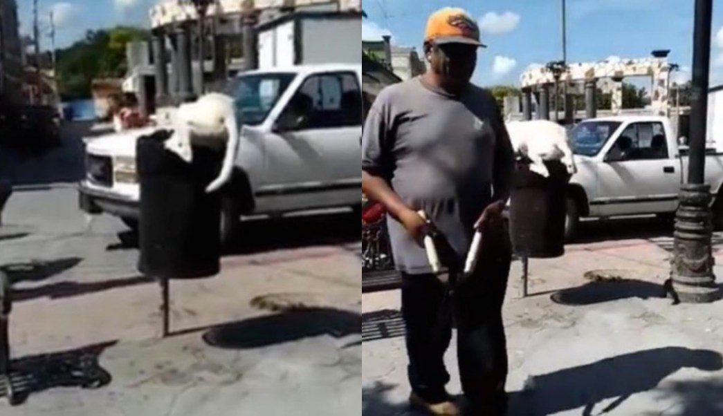 Hombre corta la cola a perrito con tijeras de podar (VIDEO)