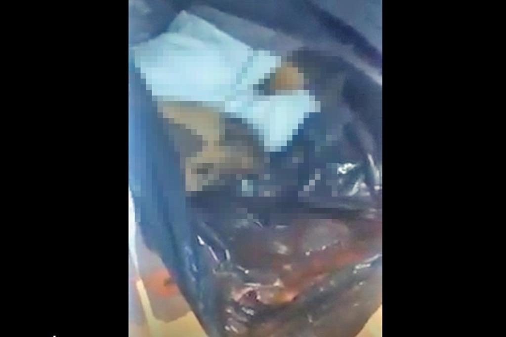 (VIDEO) Mujer es denunciada por comer y vender carne de perro