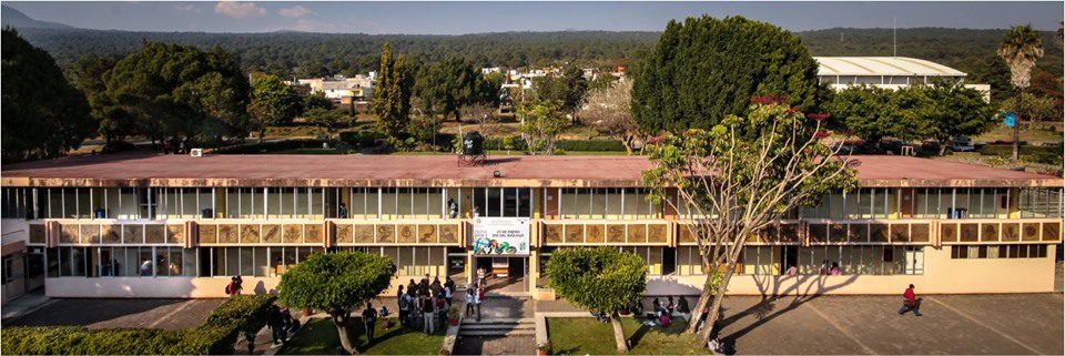 Derrumbarán edificio de la Facultad de Biología de la UAEM