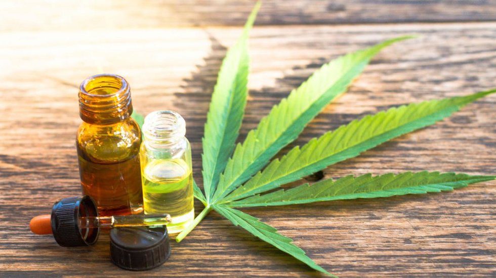 La marihuana podría ser nuestro oro verde, dice experto