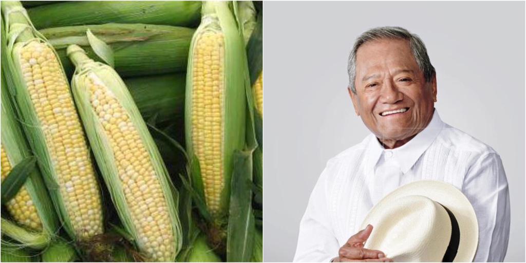 Armando Manzanero se presentarán en la Fiesta del Maíz en Totolapan
