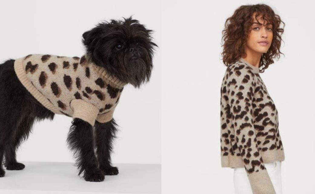 H&m ropa perro y dueño hotsell