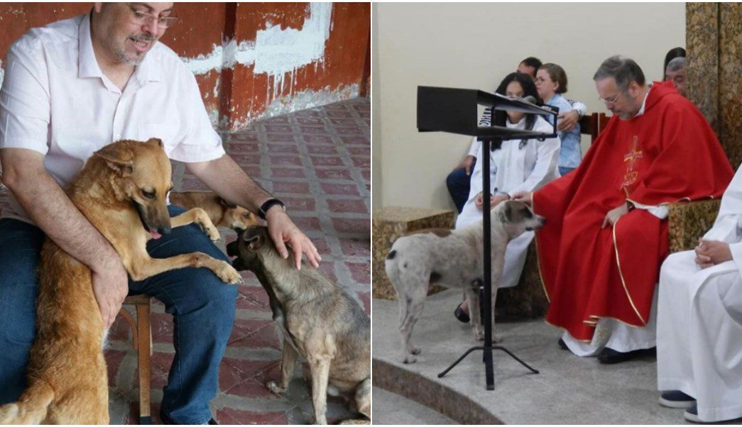 Sacerdote promueve en misa la adopción de perros callejeros