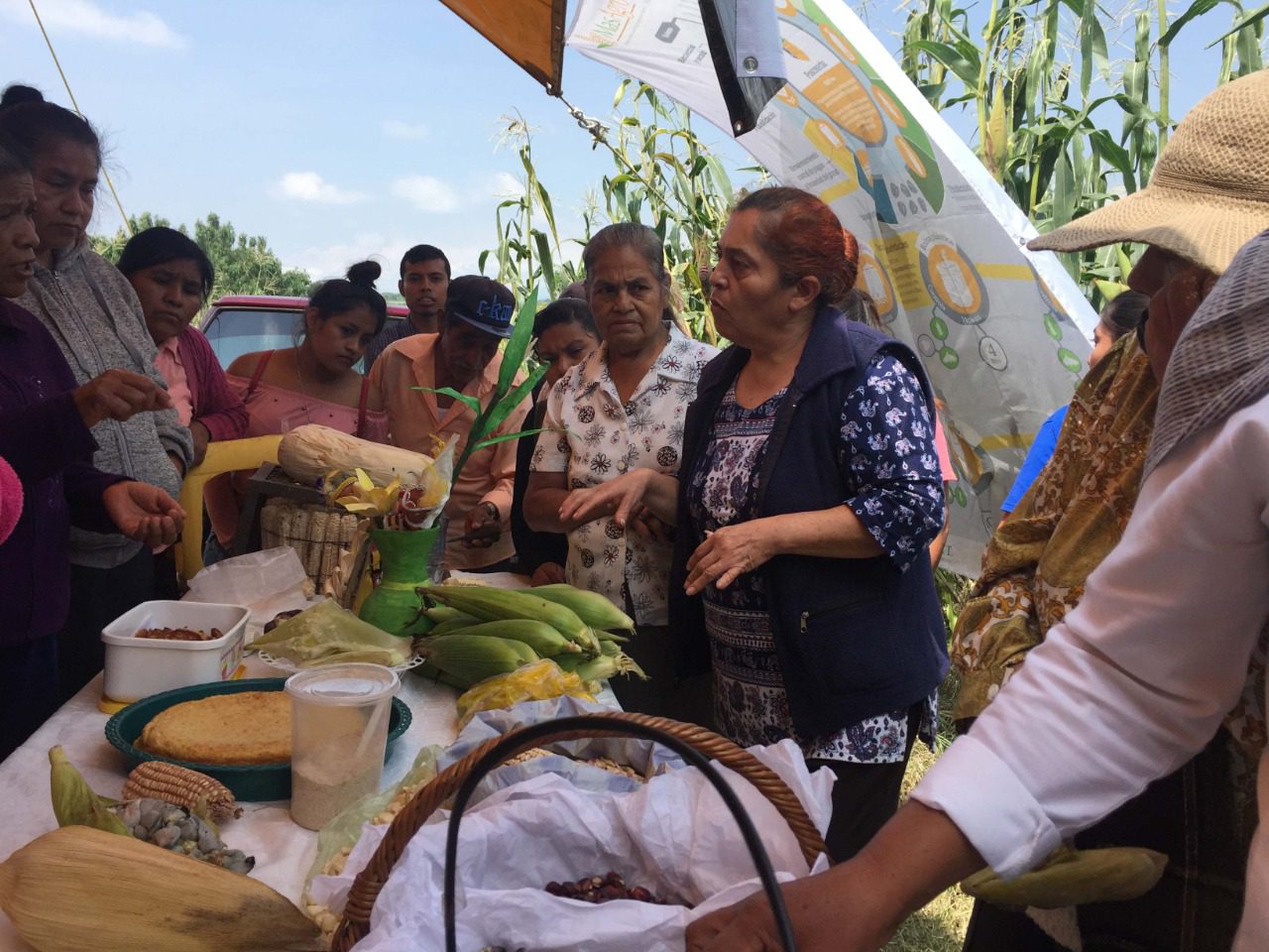 Productoras de maíz de Tepoztlán y Yecapixtla intercambian experiencias