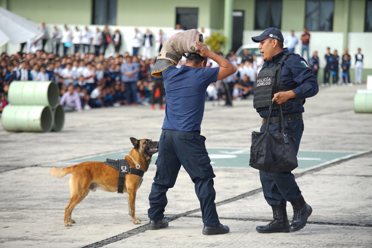 Niñez y juventud son clave para la construcción de la paz aseguran autoridades