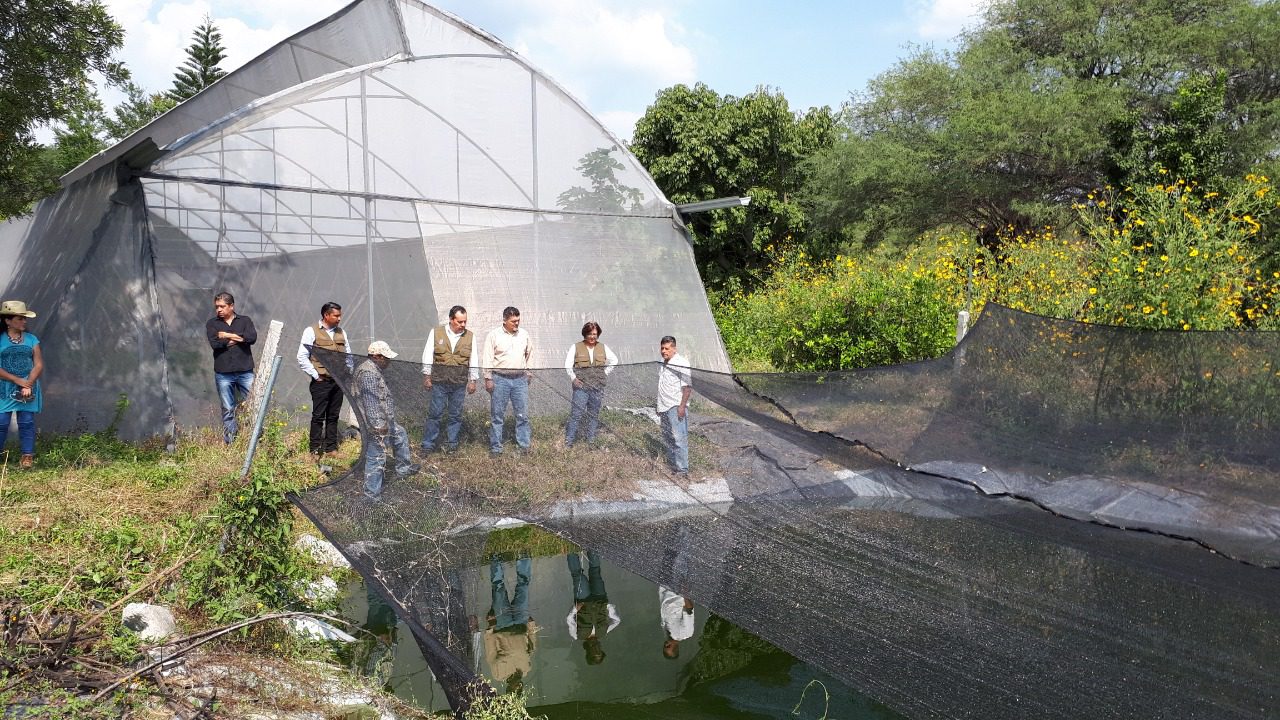 Entregan apoyos a productores de MOJARRA en Morelos