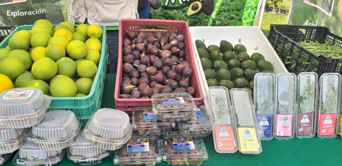 Aplican CIENCIA y TECNOLOGÍA en el campo de Morelos