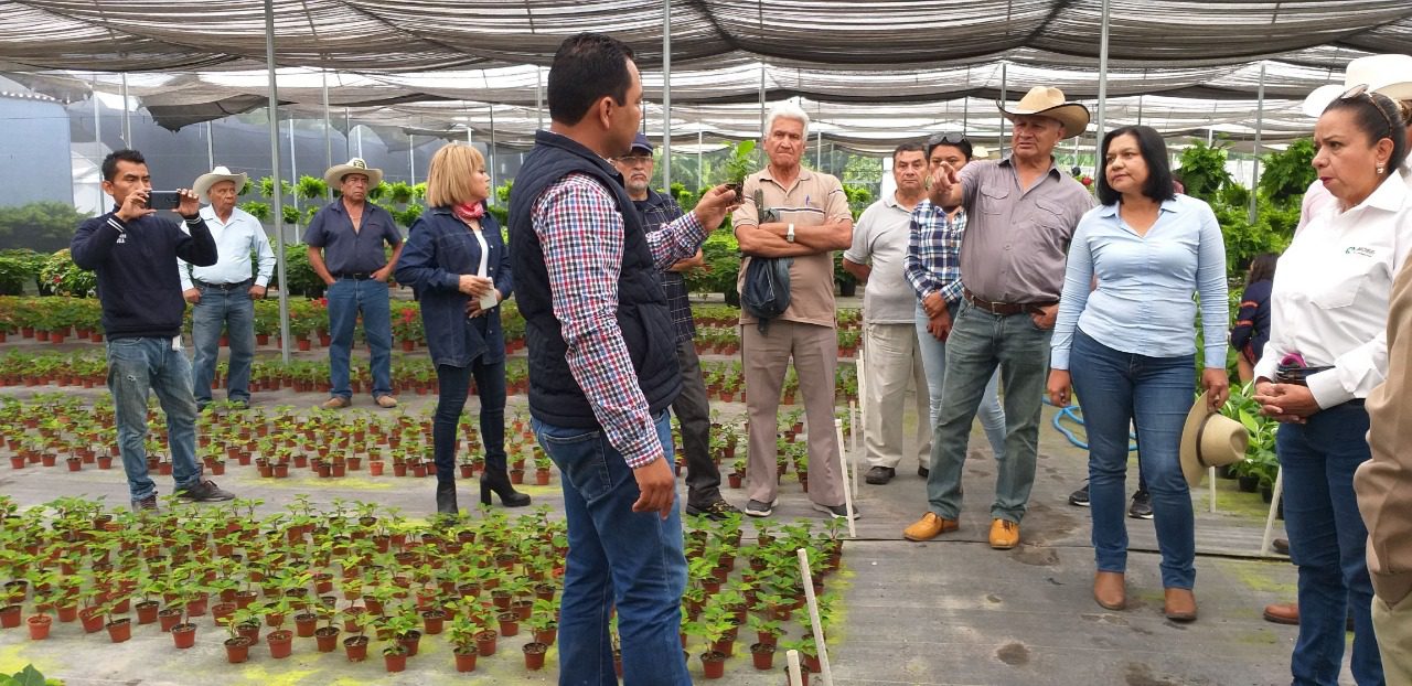 Supervisan producciones de agropecuarias en Morelos