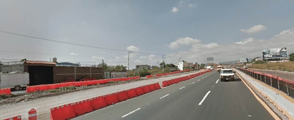 Árboles en el Paso Exprés se  secaron, SCT deberá reforestar