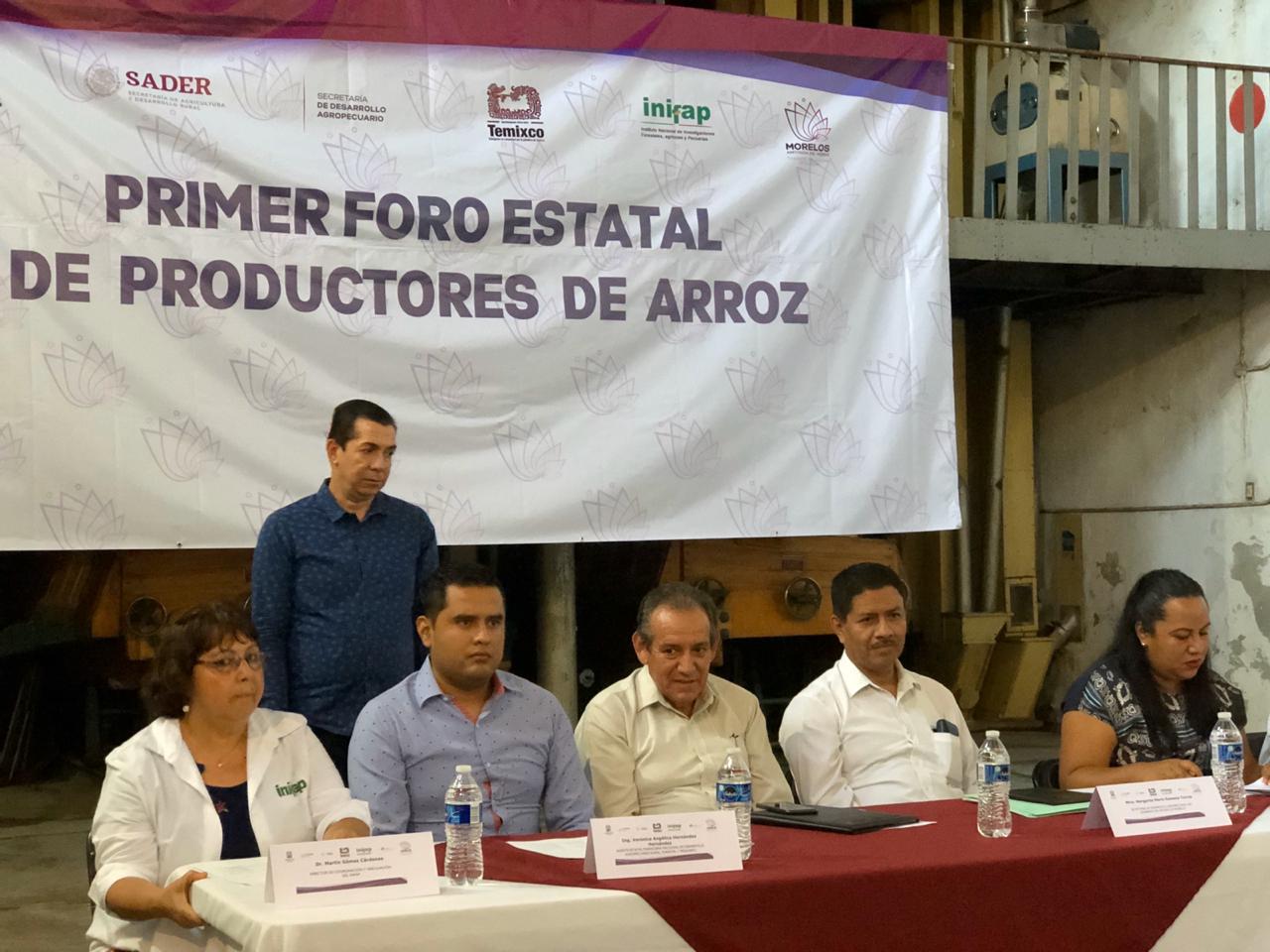 Promueven el análisis y estudio del ARROZ de Morelos