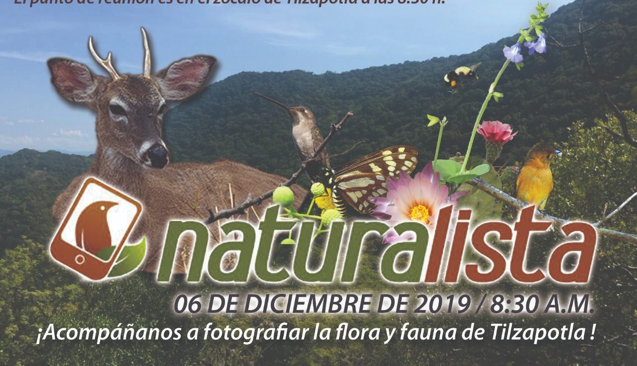 Invitan a recorrido NATURALISTA en ‘El asta Bandera’ de Tilzapotla