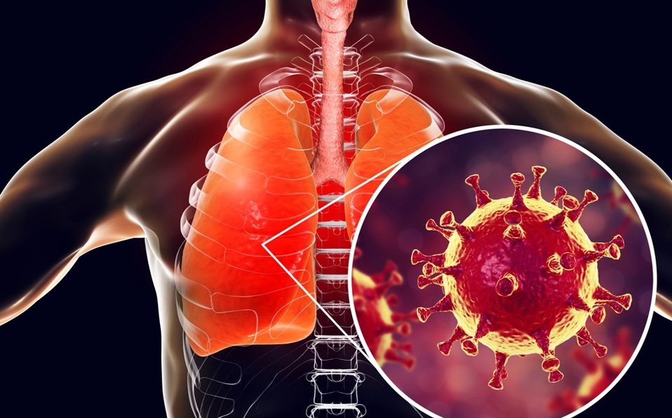 NO HAY CORANAVIRUS en México, profesor del IPN resultó negativo