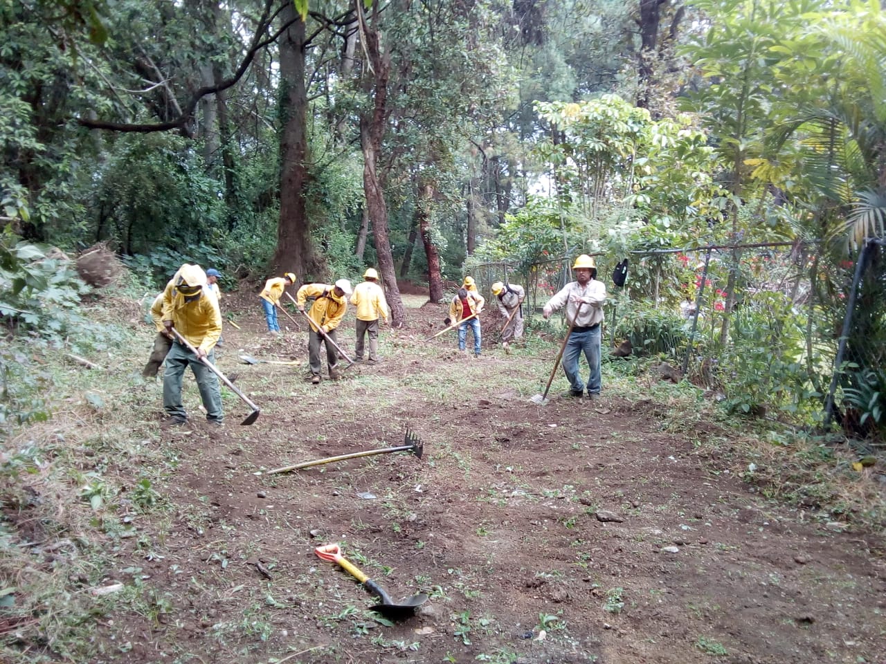 Realizan trabajos para prevenir incendios en Morelos