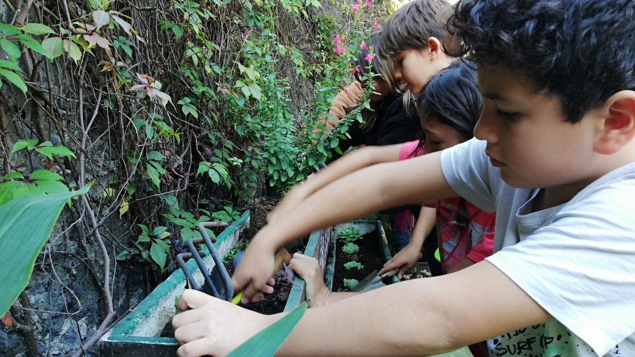 Instalan ‘Jardines Polinizadores’ para mariposas, abejas y colibríes