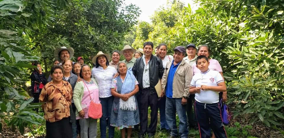 Aplicaron 250 mdp al campo de Morelos en 2019