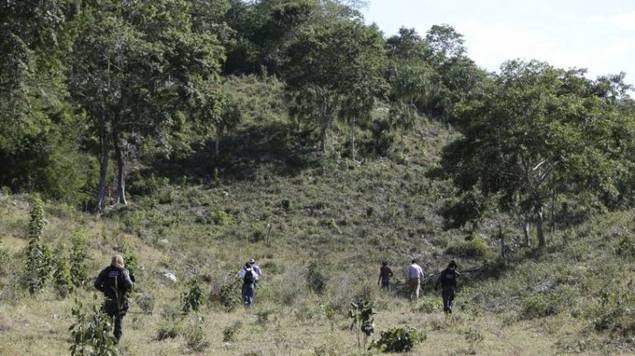FELINO mata a hombre en EdoMex, suspenden clases ante peligro