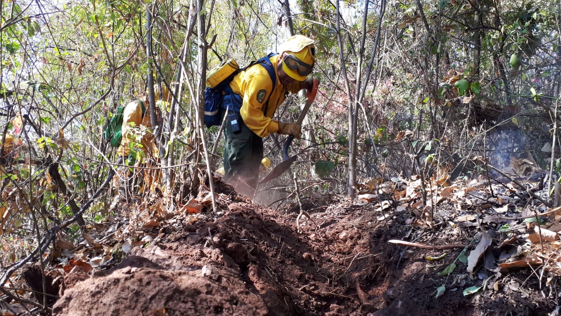 ¿Dónde debo reportar un INCENDIO forestal?
