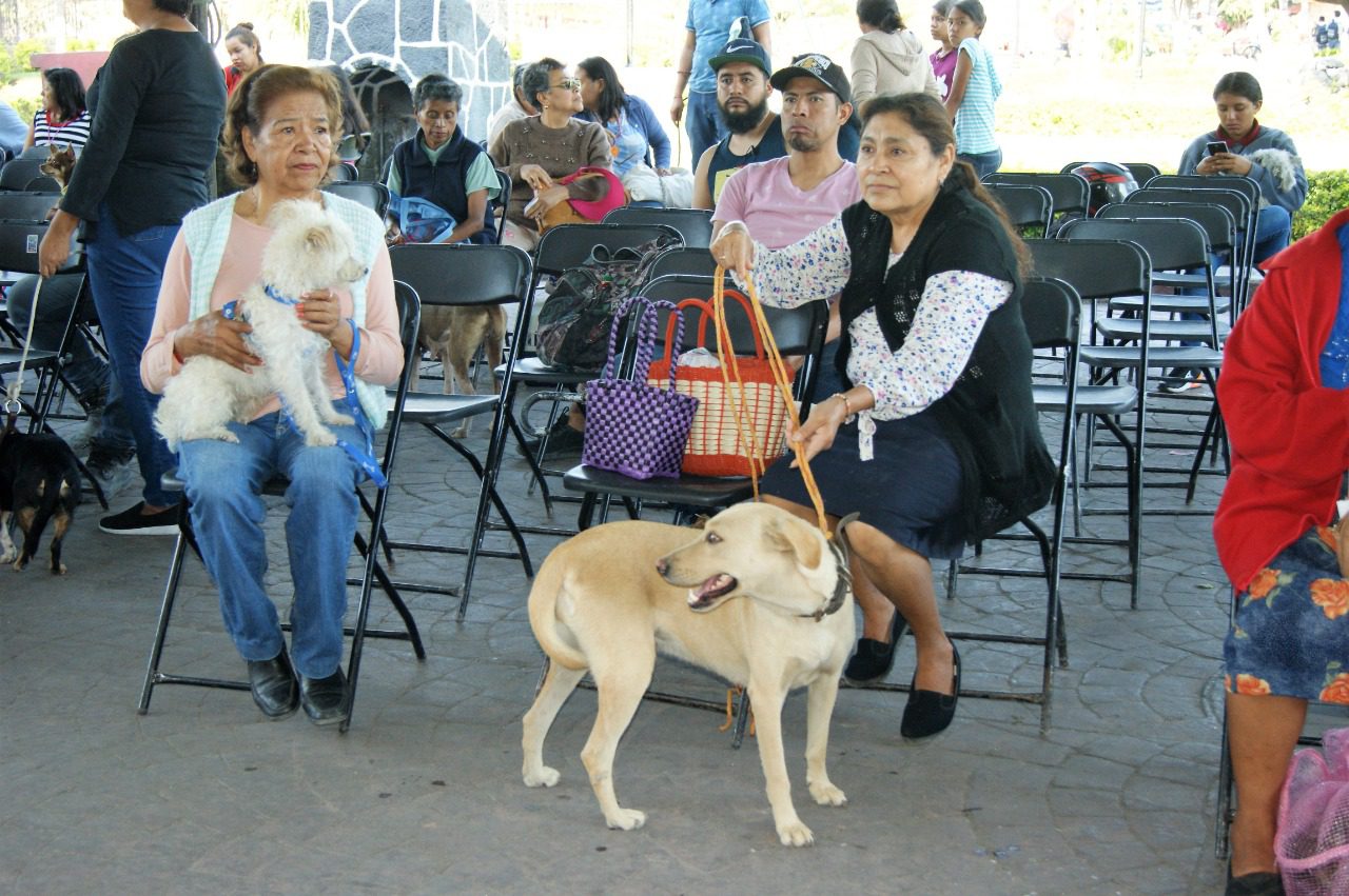 Implementan campaña de cuidado de MASCOTAS en Ayala