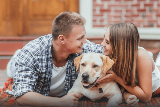 Pareja clona a su perro que murió, pagó casi 1 millón de pesos