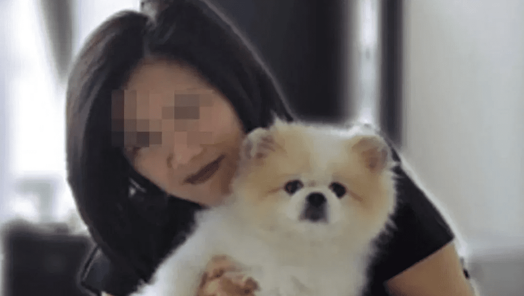 Fallece perro que fue diagnosticado con COVID-19, descartan que haya sido por el virus