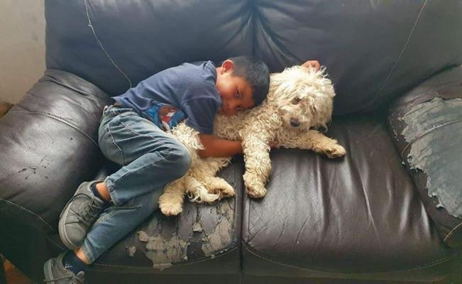 Jonathan YA ENCONTRÓ a su perrito Ryder